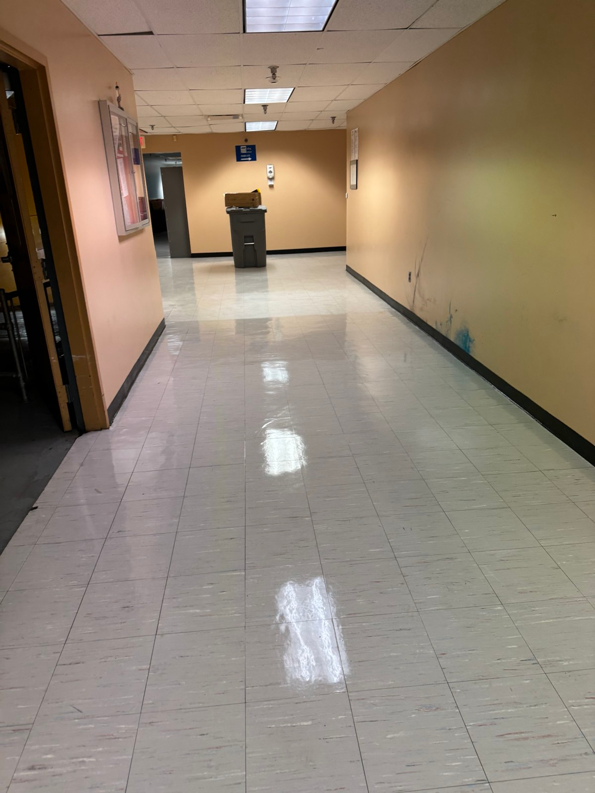 Hallway scrub & shine